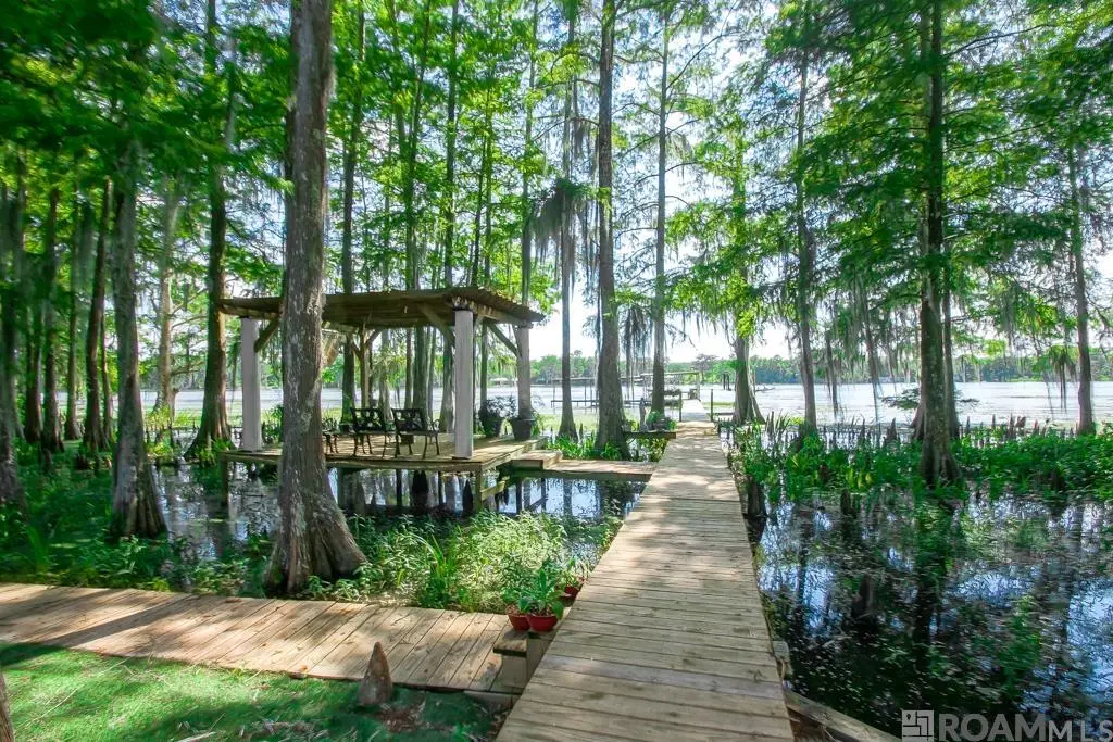 823 Belle River Rd, Pierre Part, LA 70339 - #1