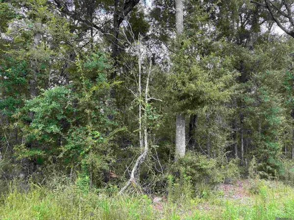 TBD Duff Rd, Walker, LA 70785