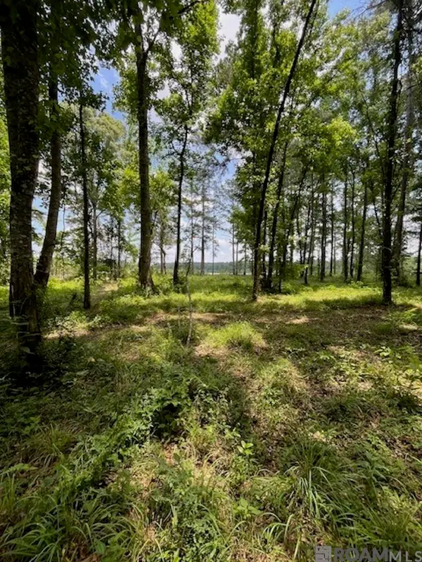 J.h. Jenkins Ln, Denham Springs, LA 70706