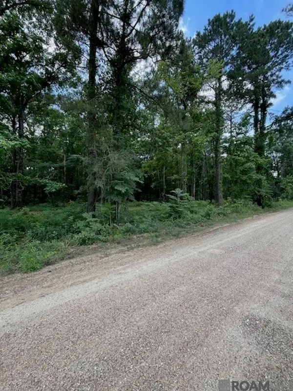 J.h. Jenkins Ln, Denham Springs, LA 70706