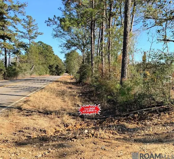 1B La Hwy 63, Clinton, LA 70722