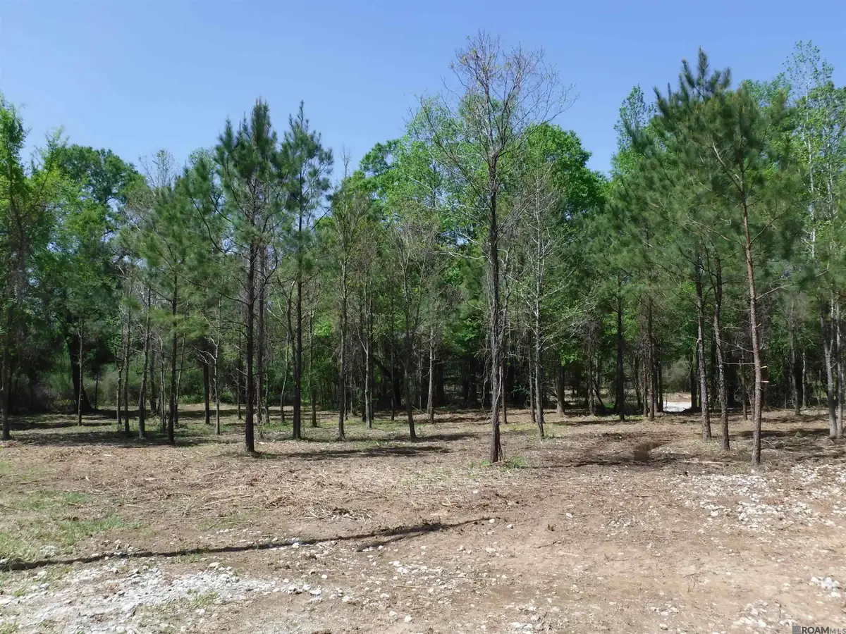 X7A La Hwy 955, Ethel, LA 70730 - #1