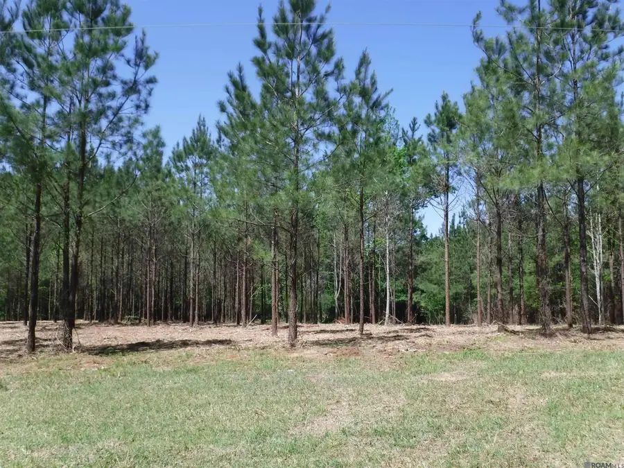X7A La Hwy 955, Ethel, LA 70730 - #2