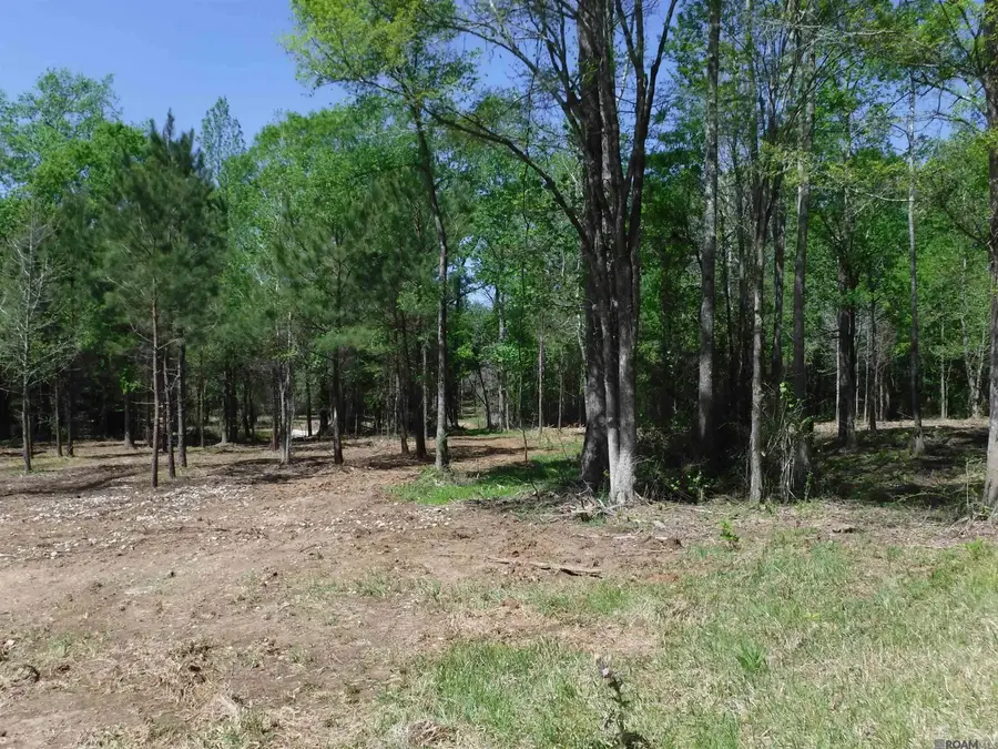 X7A La Hwy 955, Ethel, LA 70730 - #3