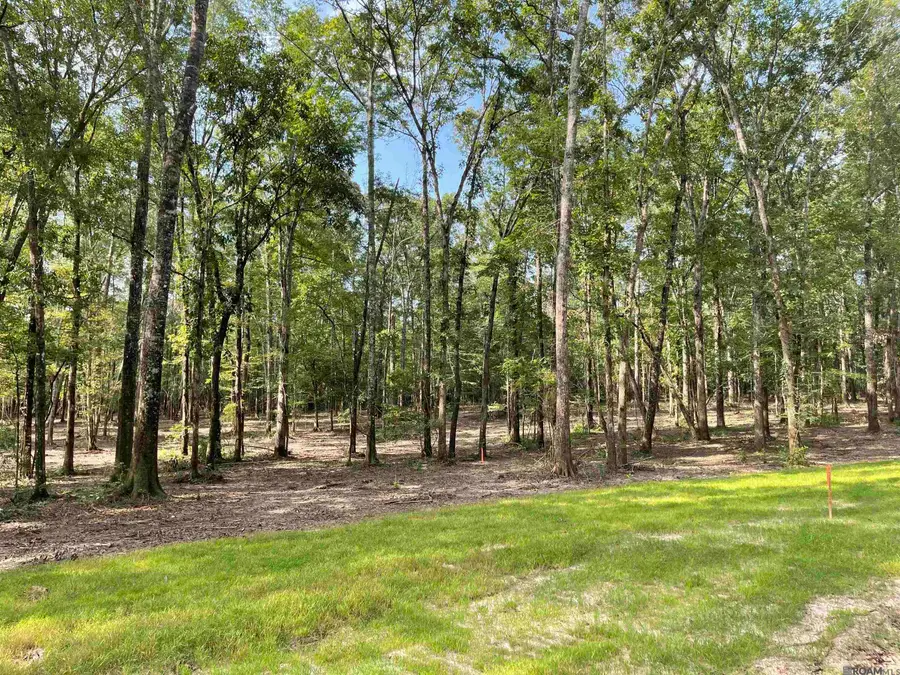 8105 Hepzibah Rd, Clinton, LA 70722 - #2