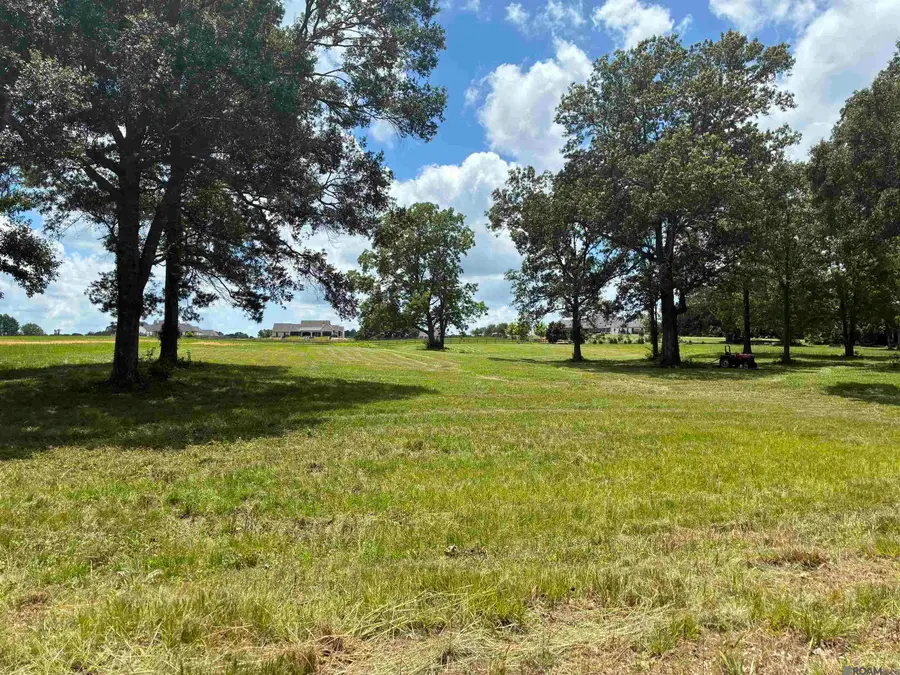 80106 Rosemary Lane, Saint Francisville, LA 70775 - #2