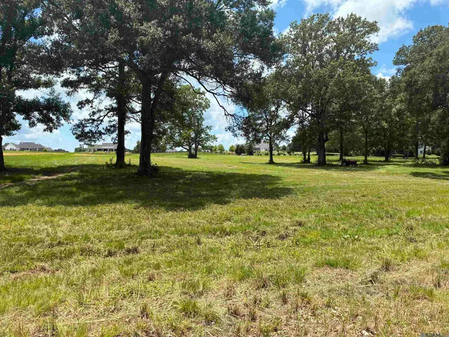 80106 Rosemary Lane, Saint Francisville, LA 70775 - #3