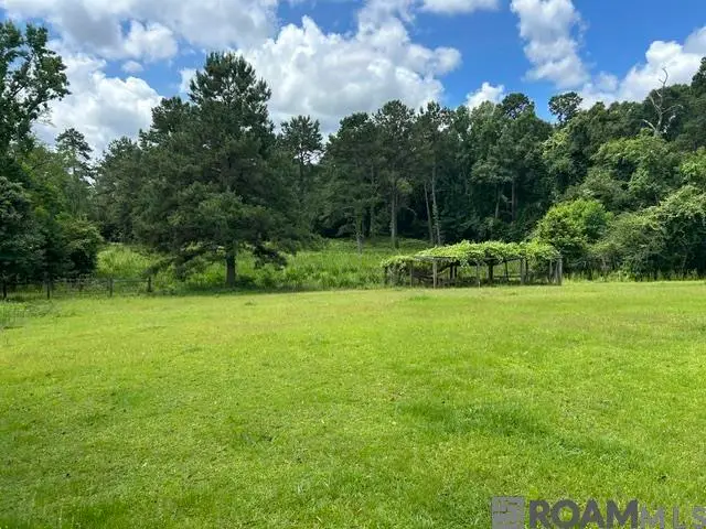 74209 Wyndotte Rd, Kentwood, LA 70444 - #3