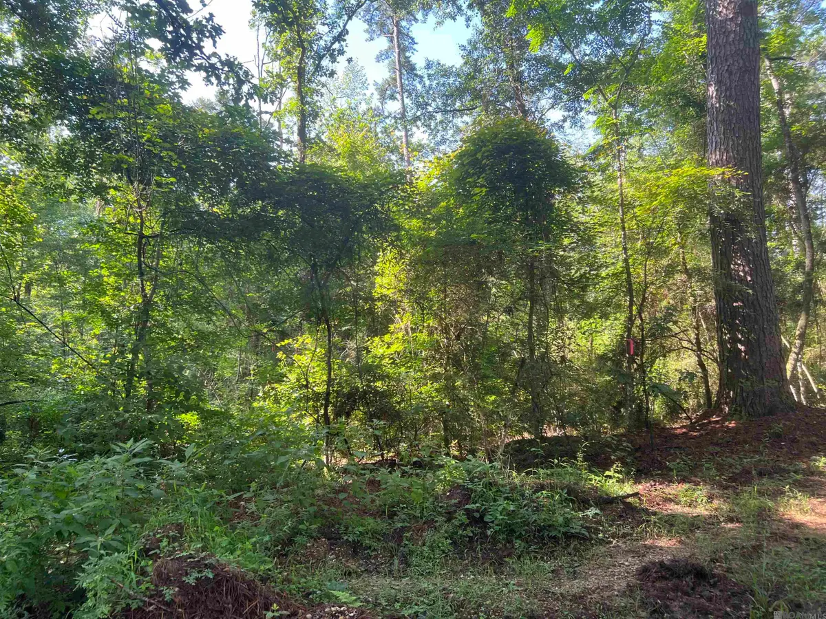 Lot 2 Hepzibah Rd, Clinton, LA 70722 - #1