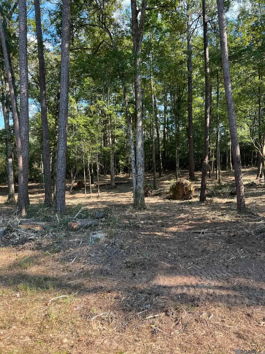B-3-3, B-3-4 La Hwy 10, Clinton, LA 70722 - #3