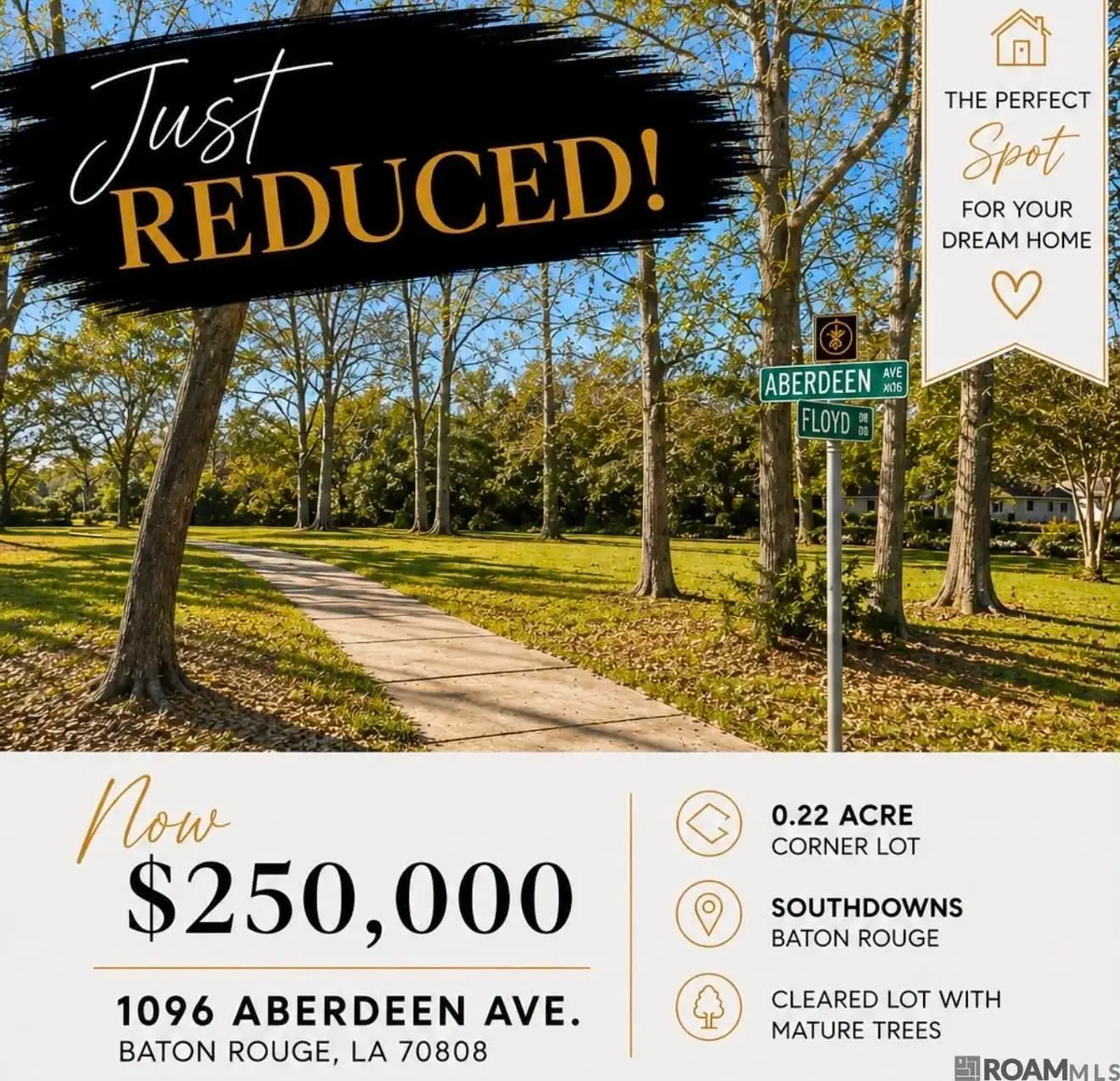1096 Aberdeen Ave, Baton Rouge, LA 70808 - #1