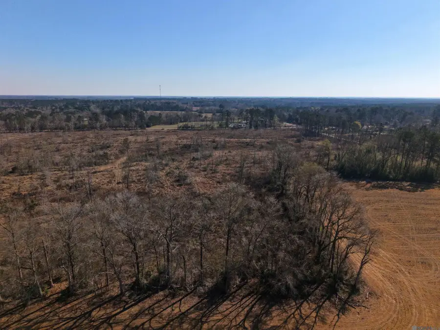 Tract C Hwy 450, Mount Hermon, LA 70450 - #2