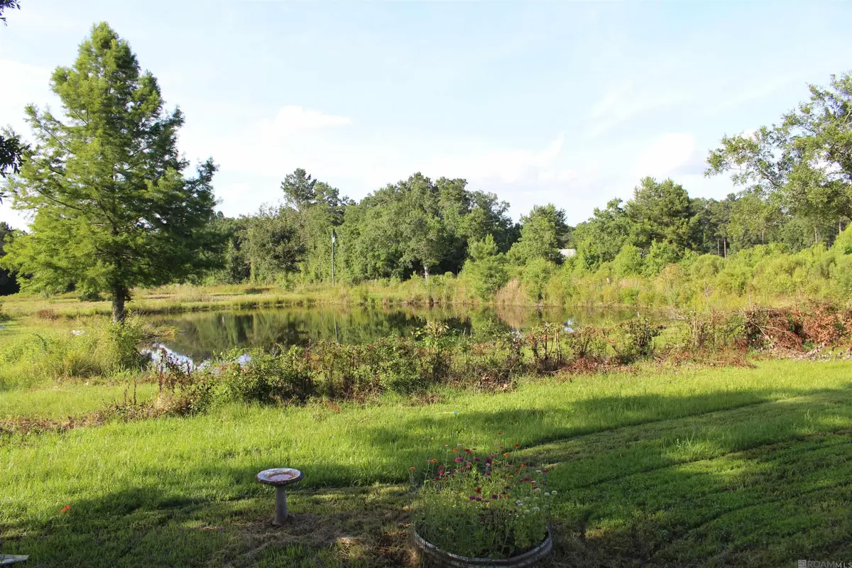 13505 Springfield Rd, Walker, LA 70785 - #1