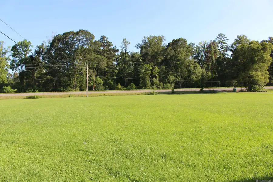 13505 Springfield Rd, Walker, LA 70785 - #2