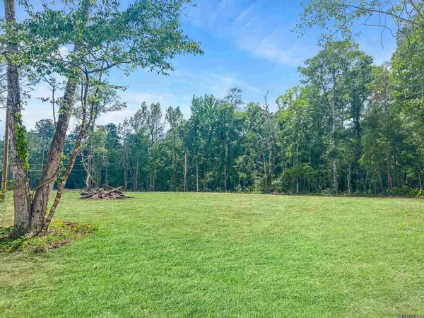 35096 Coy Holden Rd, Denham Springs, LA 70726
