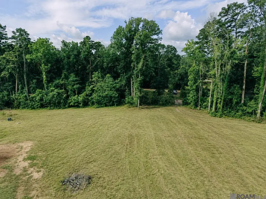 8637 Wildwood Dr, Denham Springs, LA 70706 - #2