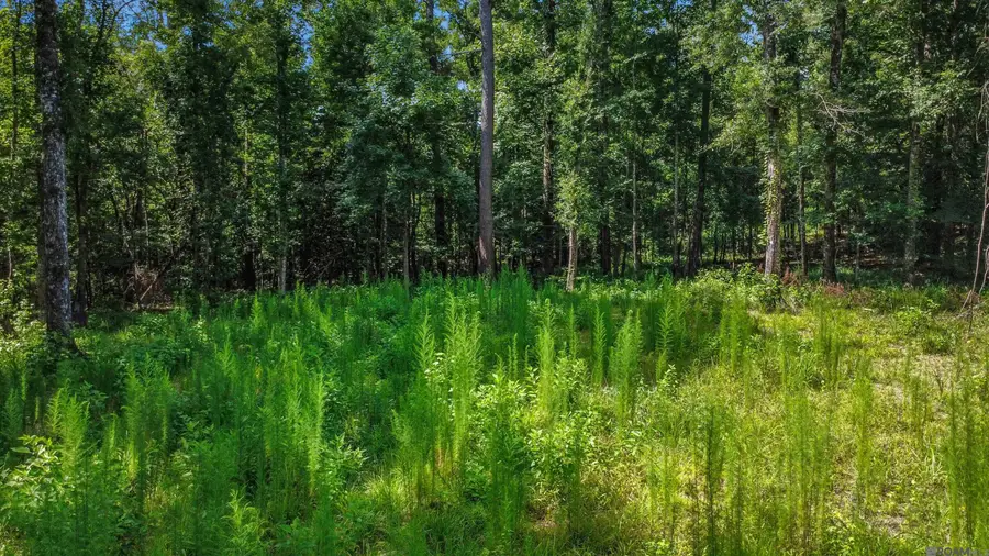 11460 La Hwy 967, Saint Francisville, LA 70775 - #3