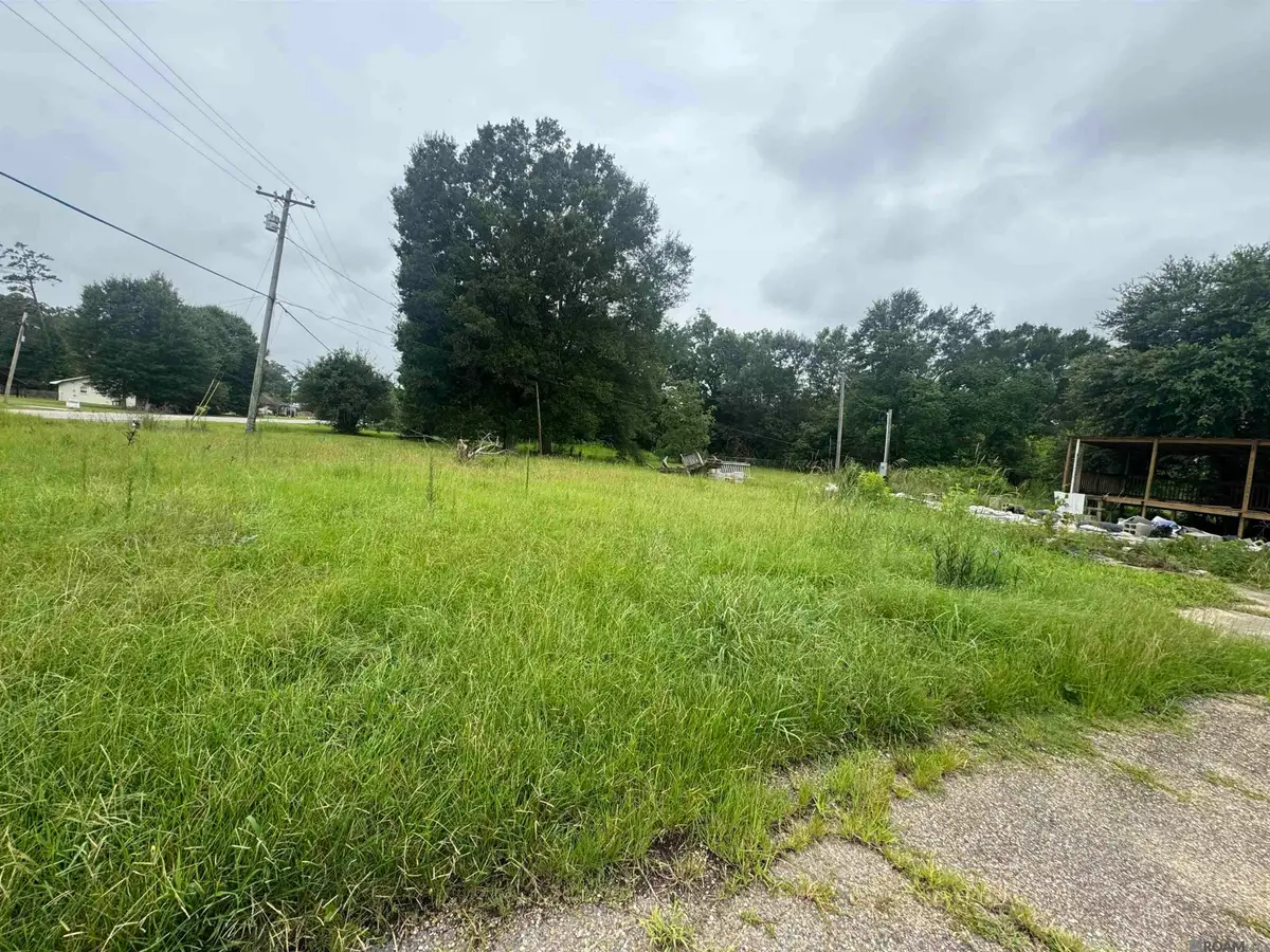 7641 Amite Church Rd, Denham Springs, LA 70706 - #1