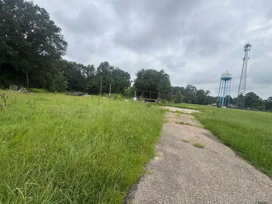 7641 Amite Church Rd, Denham Springs, LA 70706 - #3