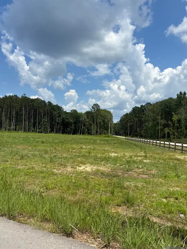 34740 Clinton Allen Rd, Denham Springs, LA 70706