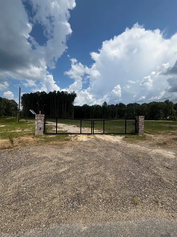 34792 Clinton Allen Rd, Denham Springs, LA 70706