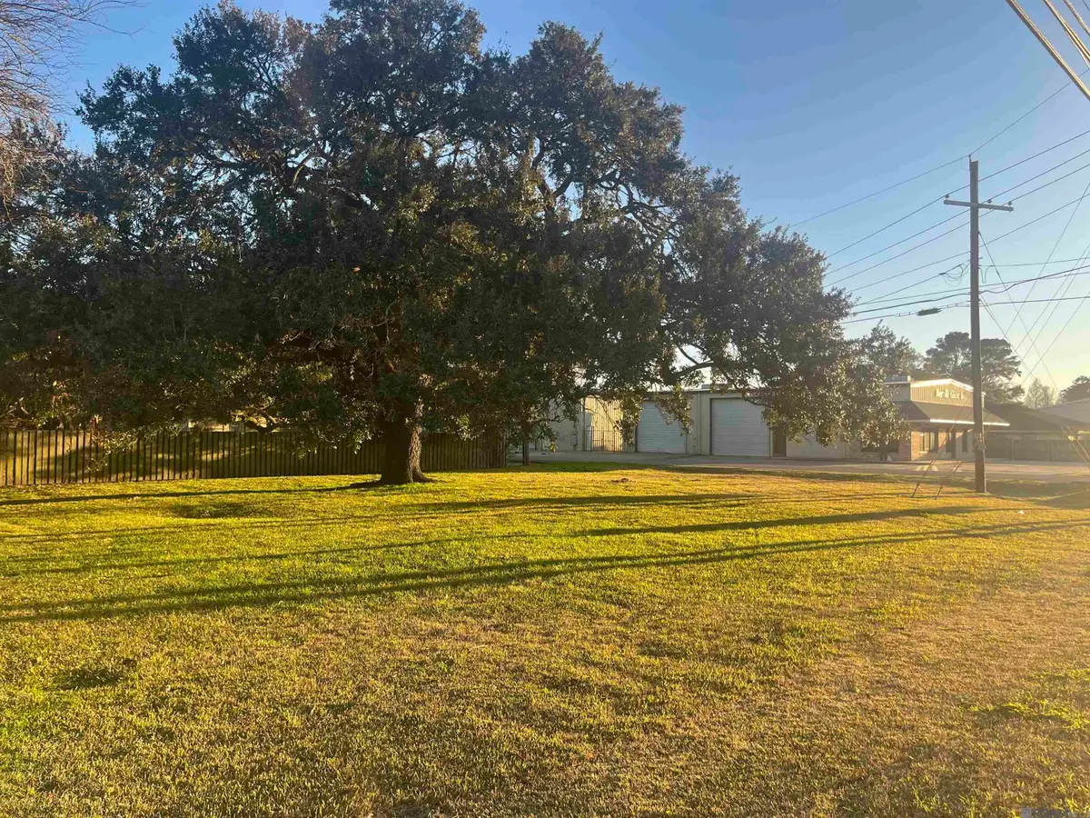 58235 Belleview Dr, Plaquemine, LA 70764 - #1