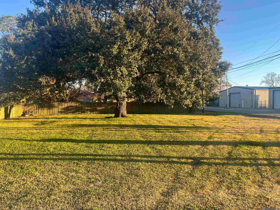 58235 Belleview Dr, Plaquemine, LA 70764 - #2