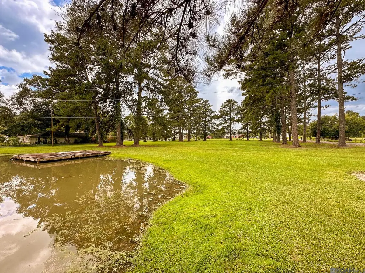 9693 S Tiger Bend Rd, Saint George, LA 70817 - #1