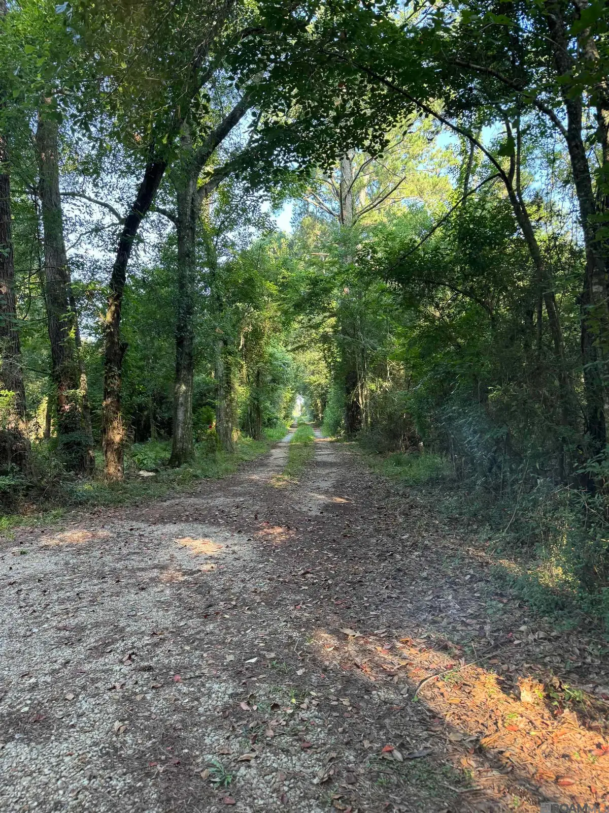 17286 La Hwy 933, Prairieville, LA 70769 - #1
