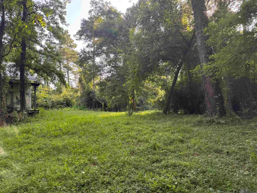 17286 La Hwy 933, Prairieville, LA 70769 - #2