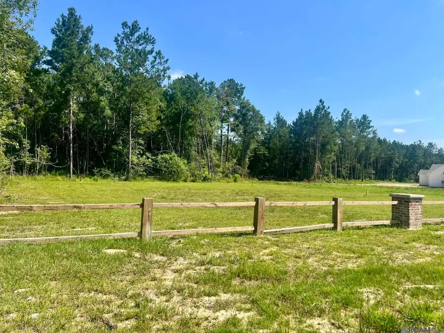19025 La Hwy 444, Livingston, LA 70754 - #3