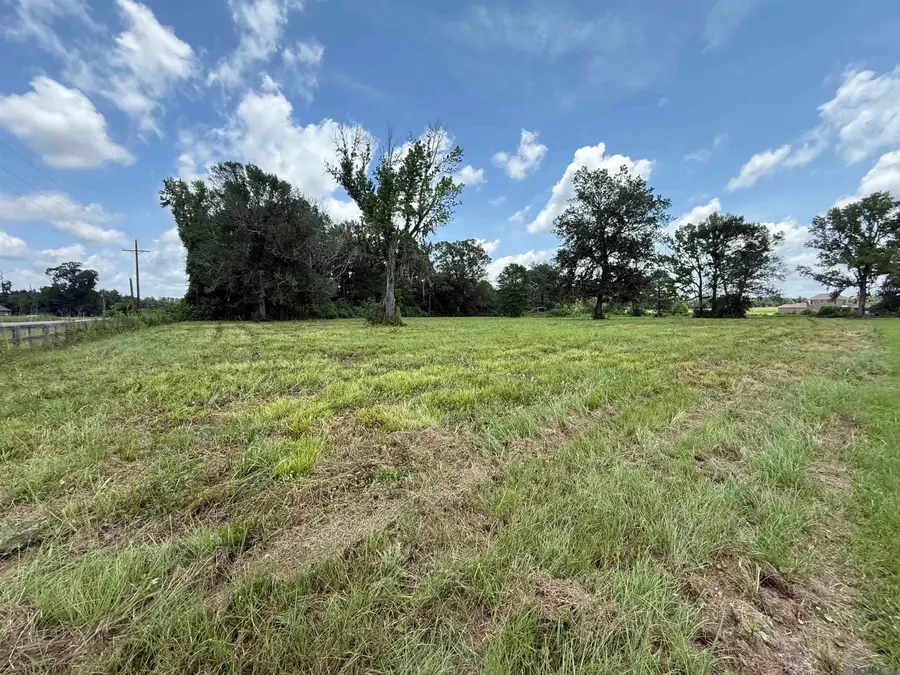 22390 Plank Rd, Zachary, LA 70791 - #2
