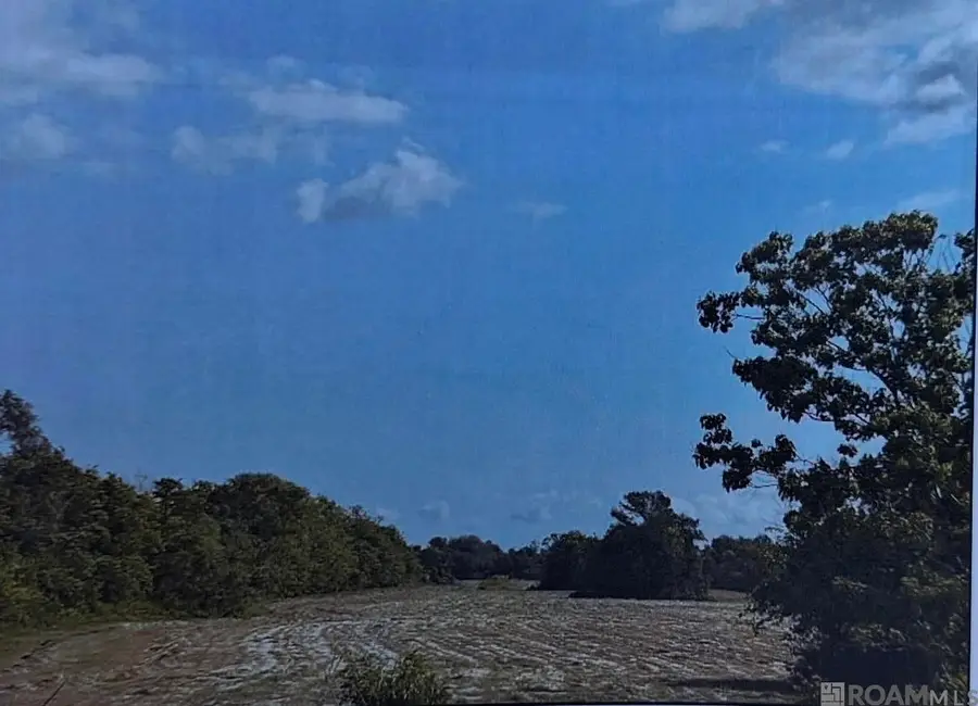 15001 La Hwy 3235, Cut Off, LA 70345 - #2