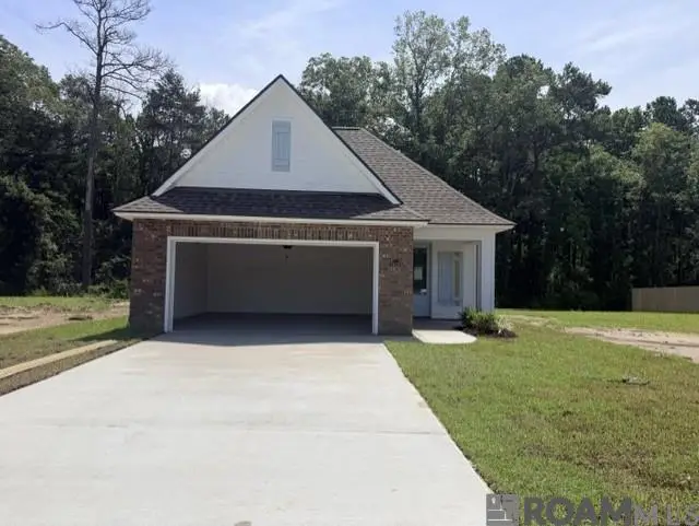 24130 Steller's Sea Drive, Denham Springs, LA 70726 - #3