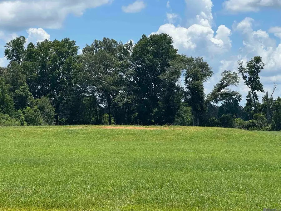 B-6 Iron Creek Lane, Ethel, LA 70730 - #3