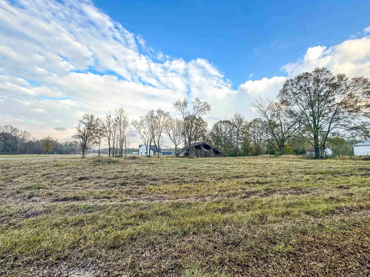 12618 Huntway Lane, Zachary, LA 70791 - #1