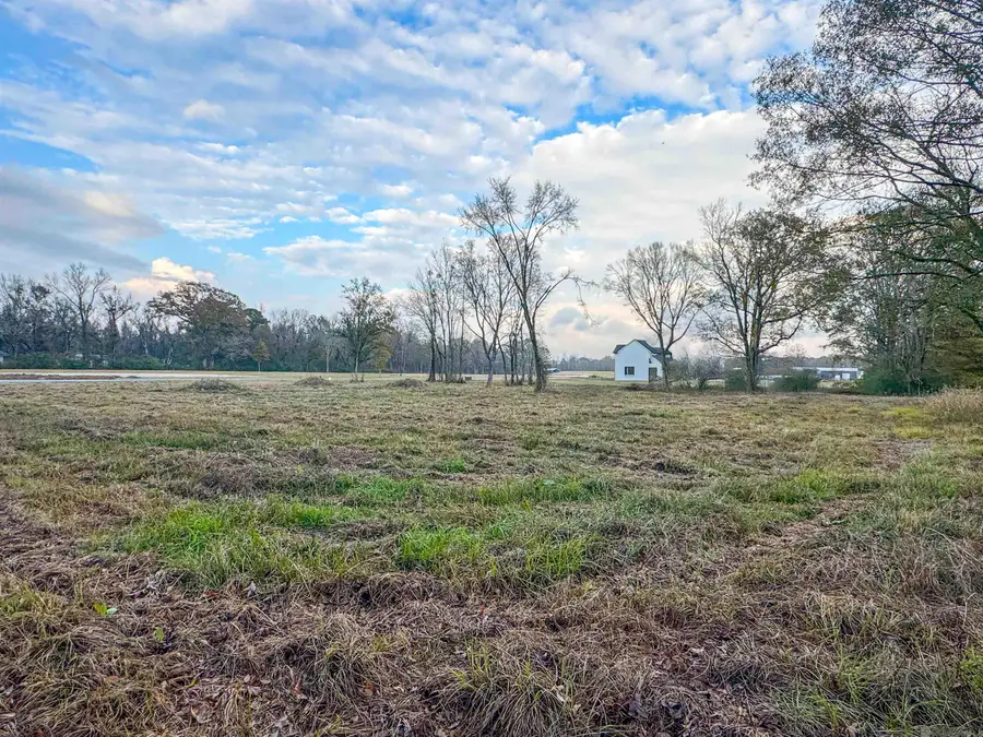 12618 Huntway Lane, Zachary, LA 70791 - #2