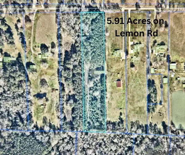 TBD Lemon Rd, Slaughter, LA 70777