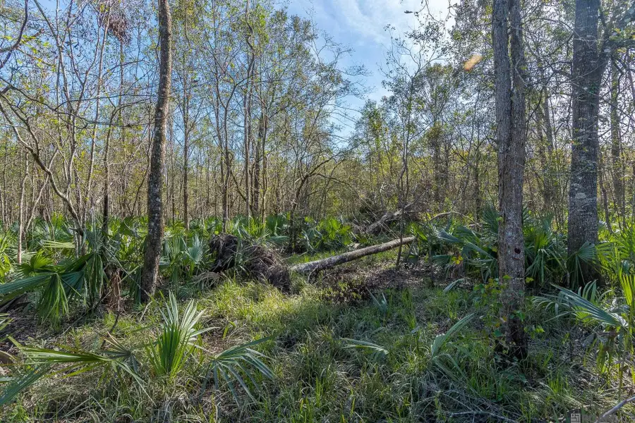 49225 Hwy 22, Saint Amant, LA 70774 - #3