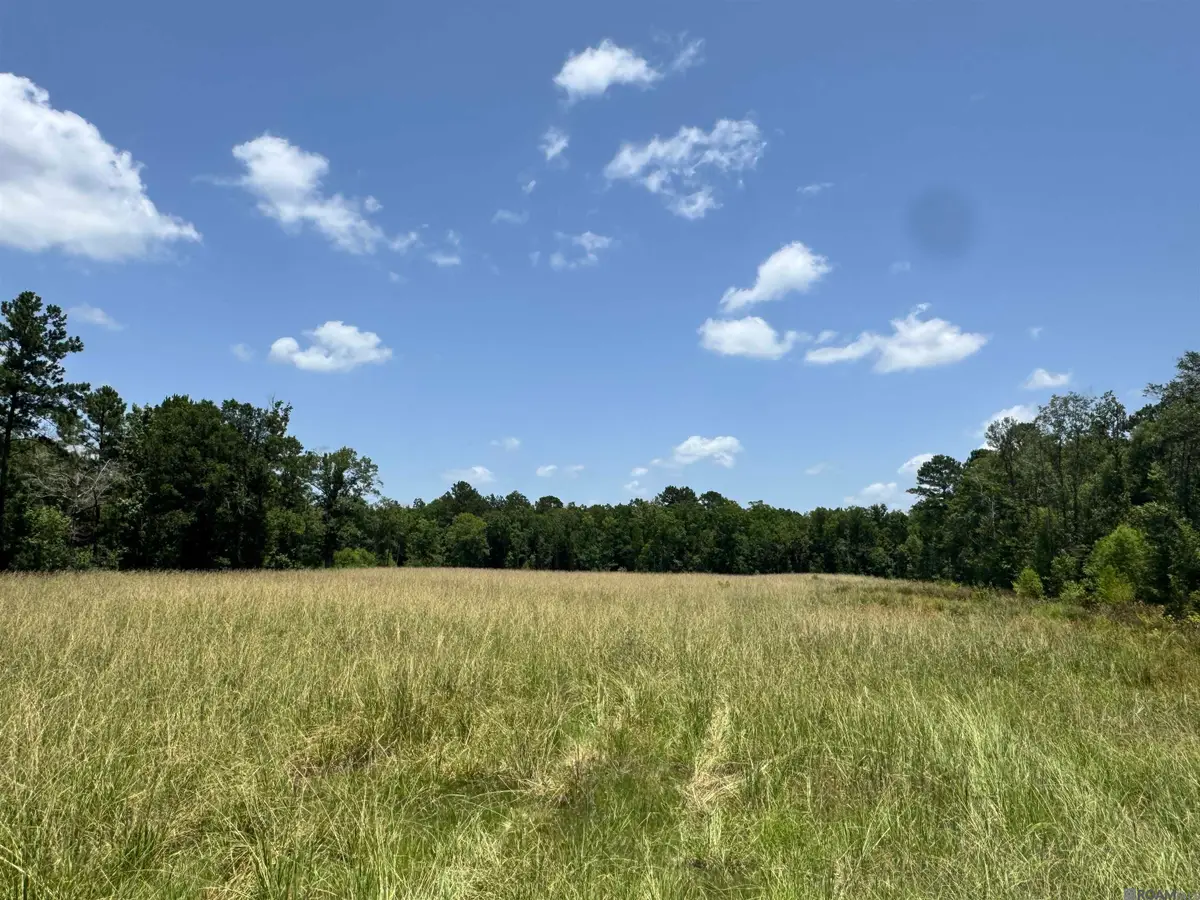 27538 S Frost Rd, Livingston, LA 70754 - #1