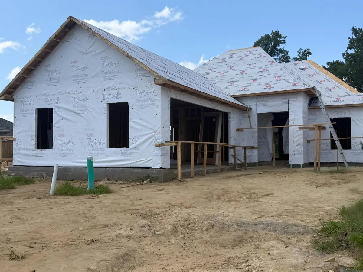 36192 Belle Parc Ave, Geismar, LA 70734 - #1