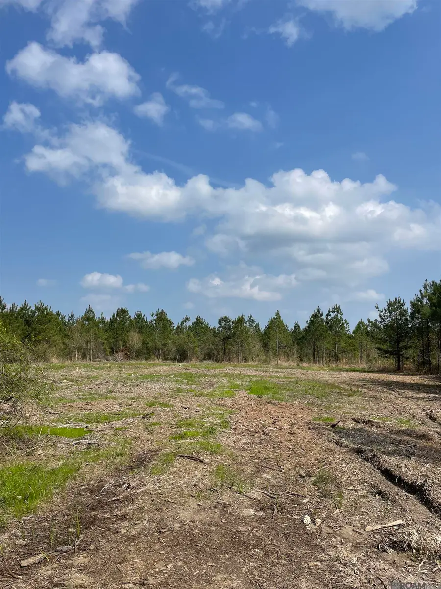 Tract 9 Lorin Wall Rd, Holden, LA 70744 - #2