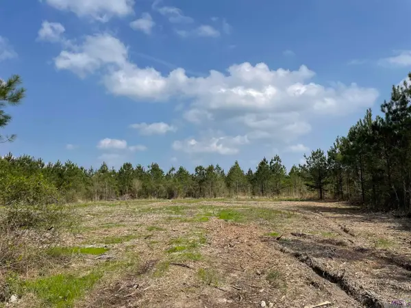 Tract 13 Lorin Wall Rd, Holden, LA 70774