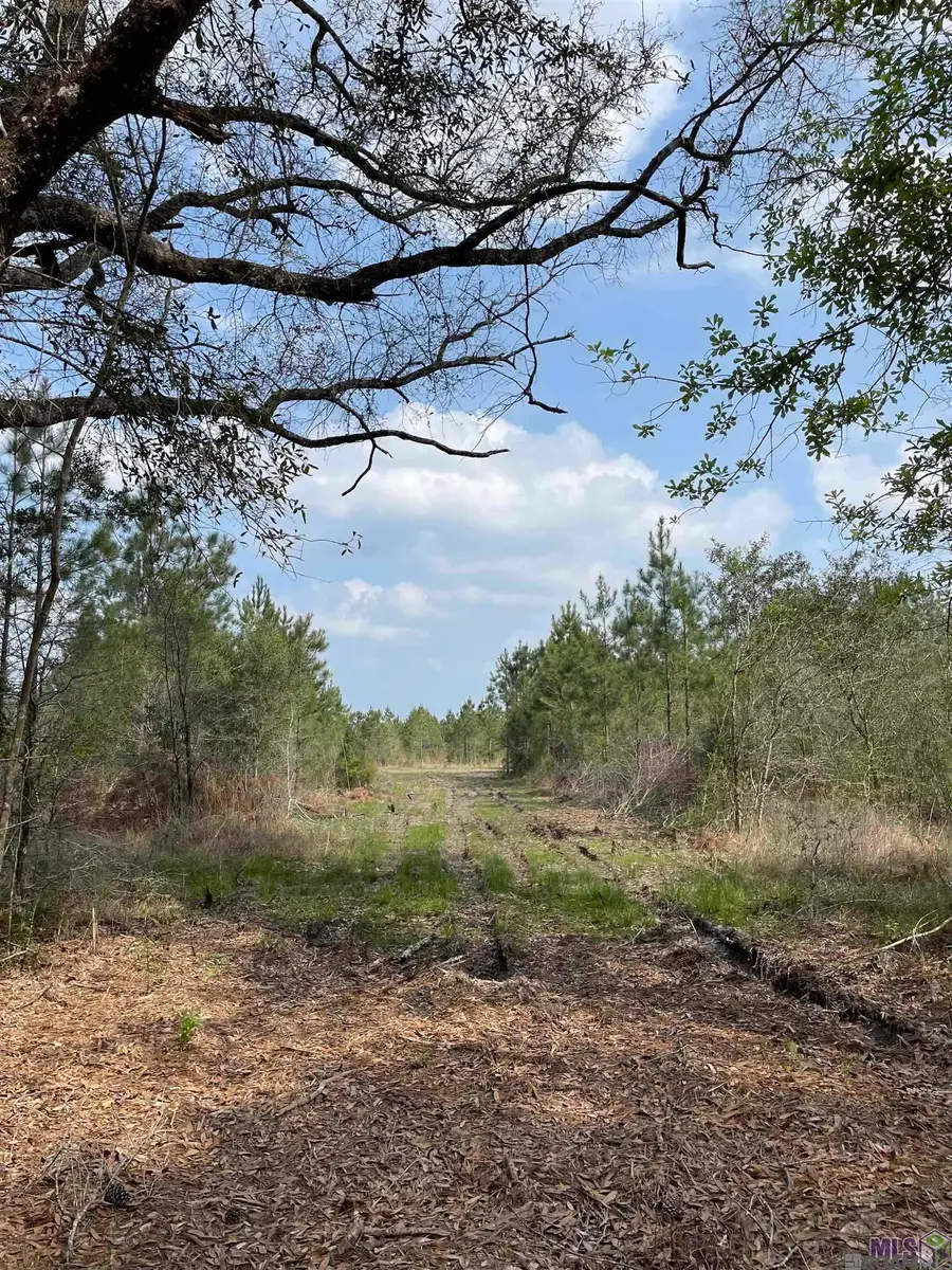 Tract 12 Lorin Wall Rd, Saint Amant, LA 70774 - #2
