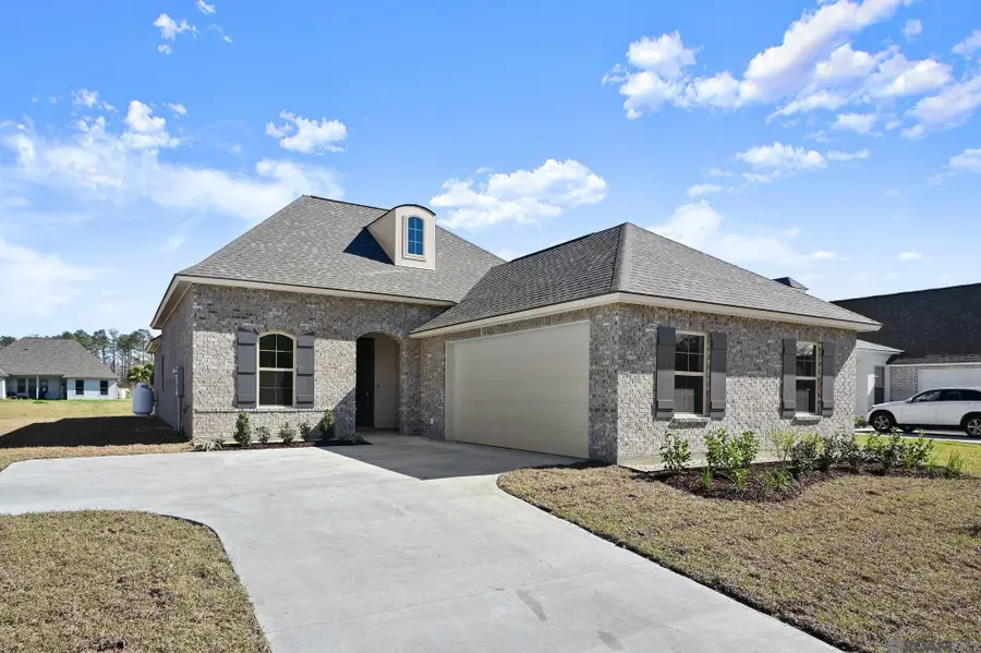 37516 Cattle Ave, Prairieville, LA 70769 - #3
