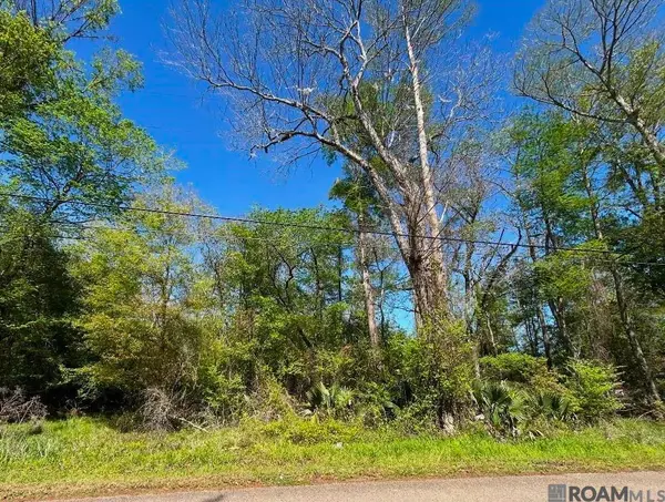 Lot 23 & 24 La Trace Rd, Livingston, LA 70754