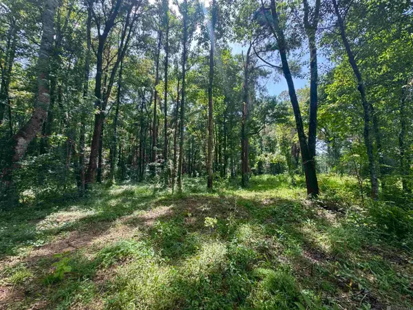 RS-9&10 J.h. Jenkins Ln, Denham Springs, LA 70706