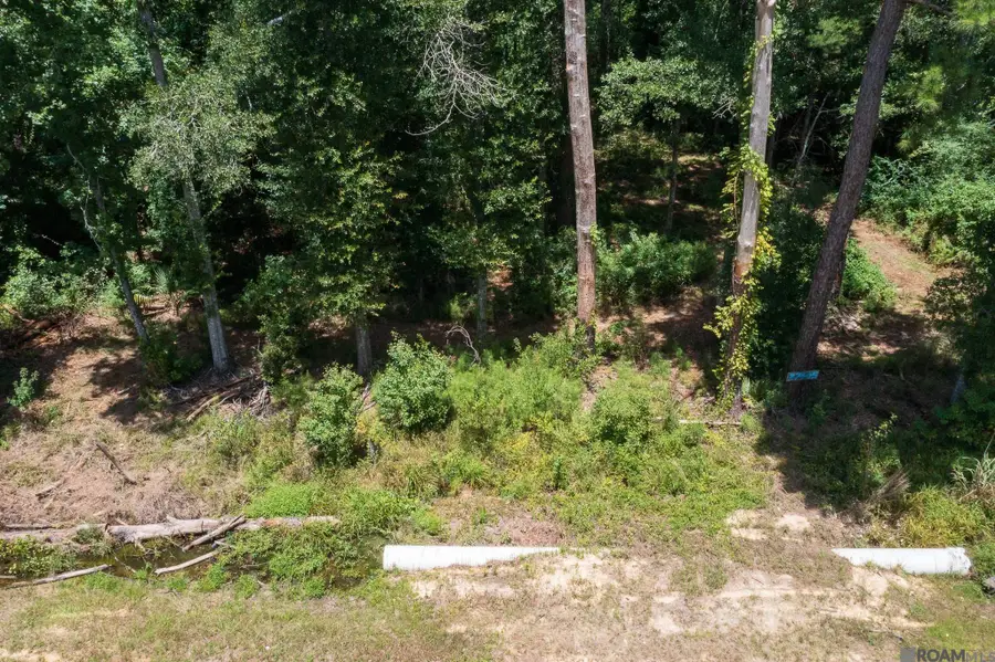 37405 Reinninger Rd, Denham Springs, LA 70706 - #3
