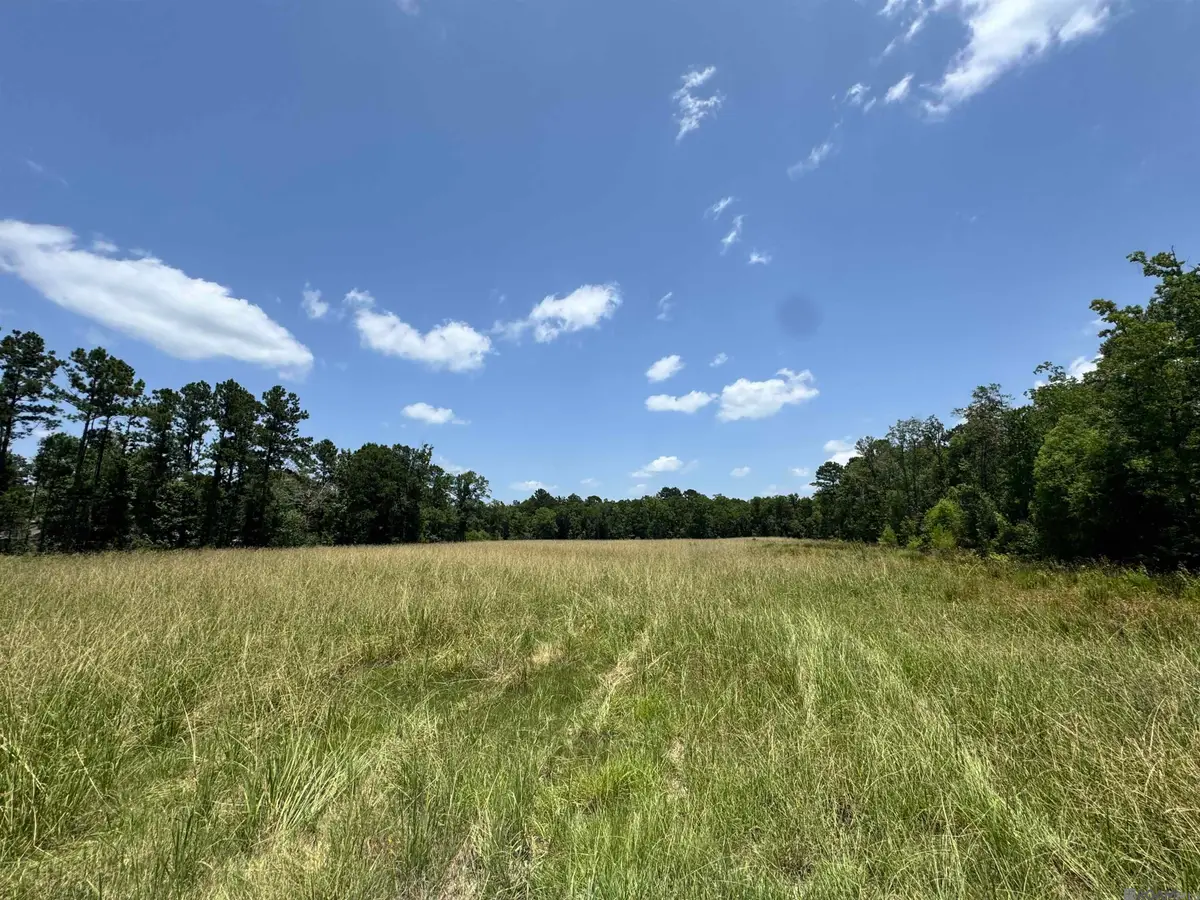 27554 S Frost Rd, Livingston, LA 70754 - #1