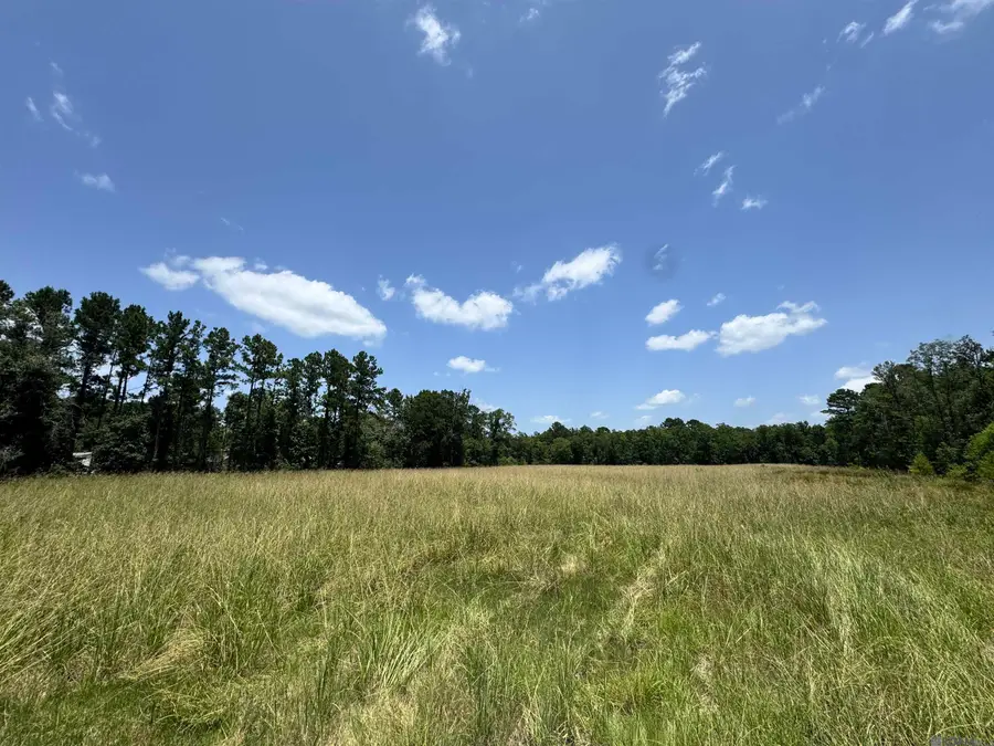 27554 S Frost Rd, Livingston, LA 70754 - #3